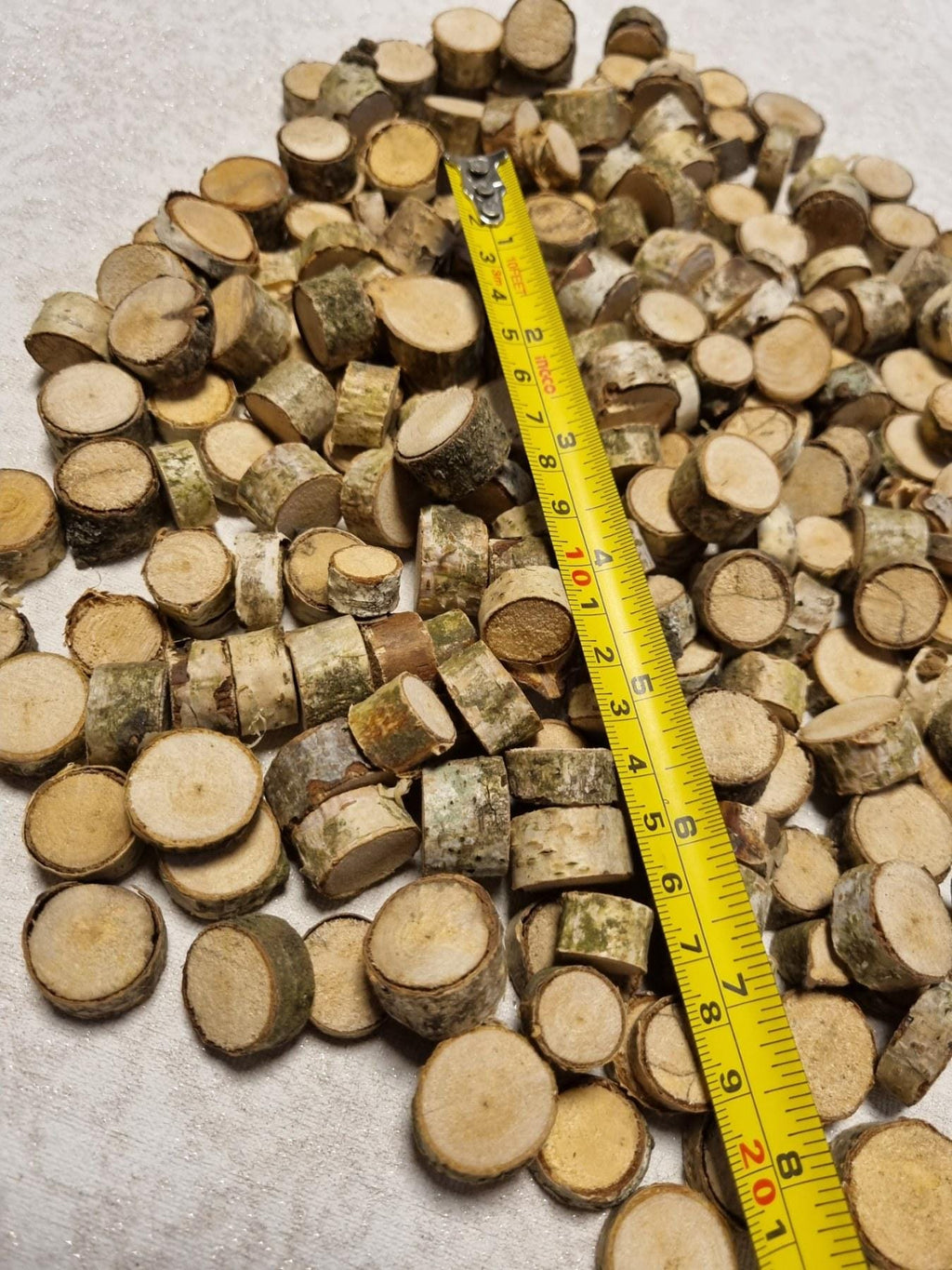 Tiny Birch Wood Slices Bulk Set | Mini Log Discs for Fairy Garden, Dollhouse Miniatures