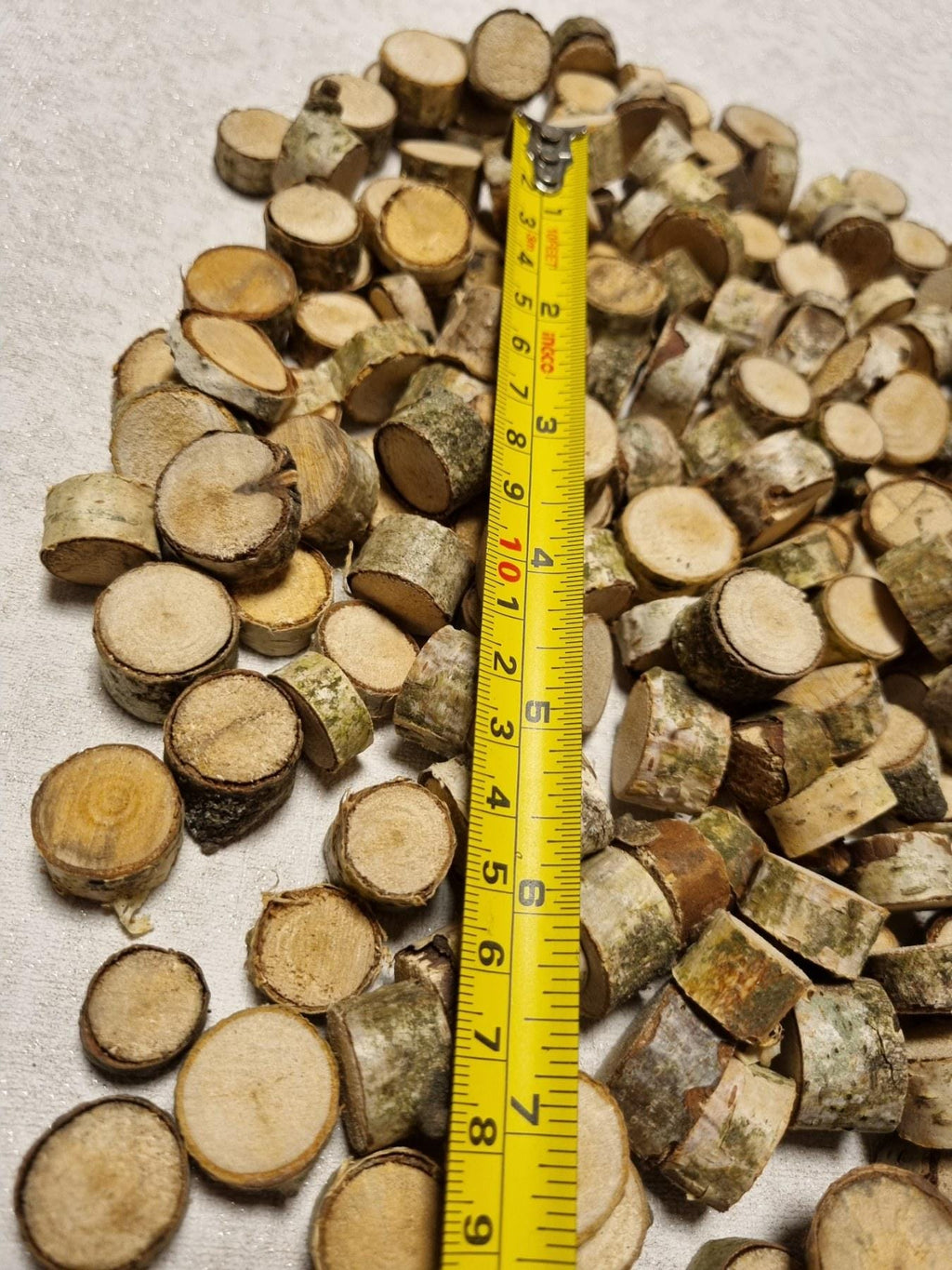 Tiny Birch Wood Slices Bulk Set | Mini Log Discs for Fairy Garden, Dollhouse Miniatures