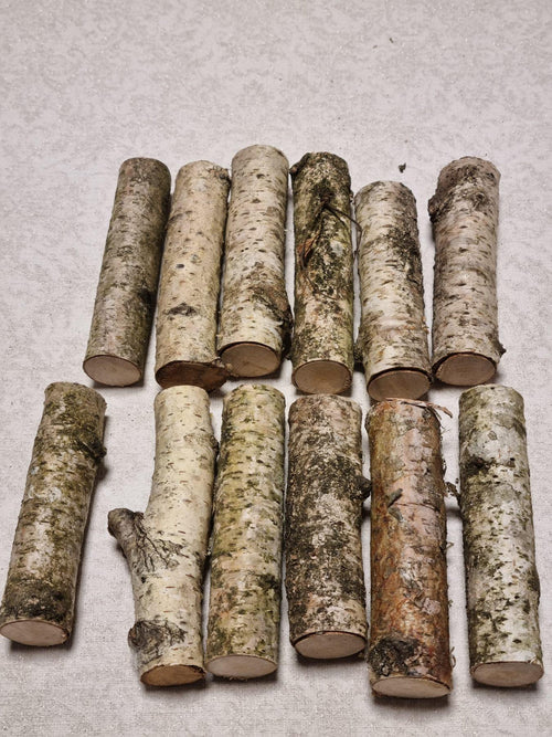 Birch Wood Sticks – Small Logs for Arts, Crafts, 12-Piece Set, Untreated Lithuanian Wood