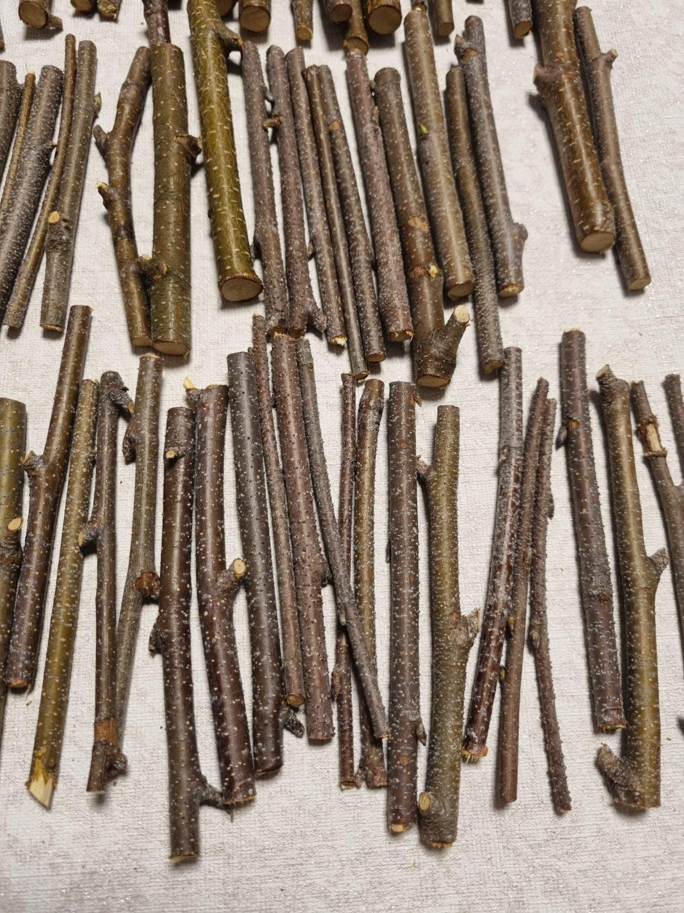 Small Birch Twigs – 60 Pack, 4 Inch Wood Sticks for Crafts