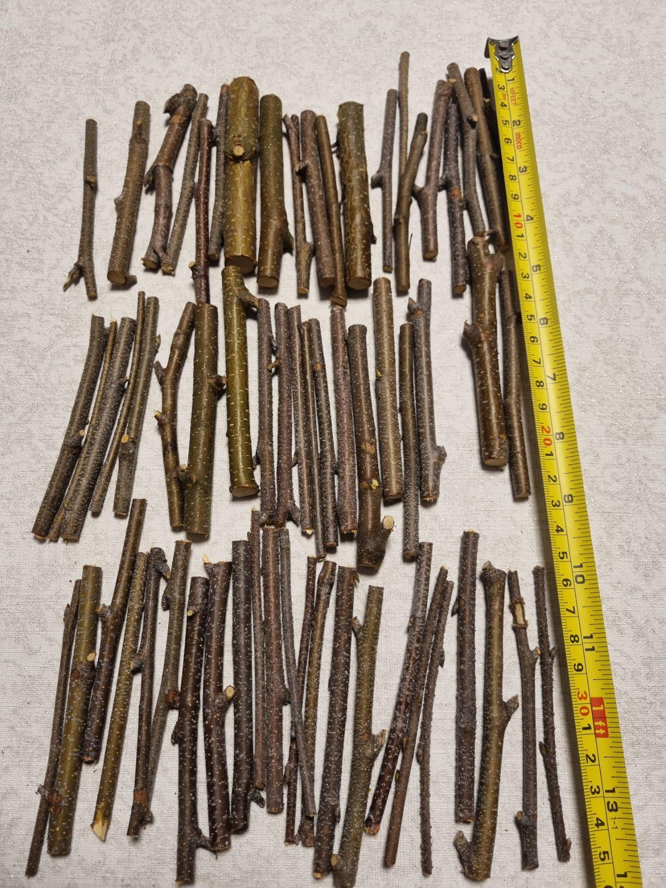 Small Birch Twigs – 60 Pack, 4 Inch Wood Sticks for Crafts