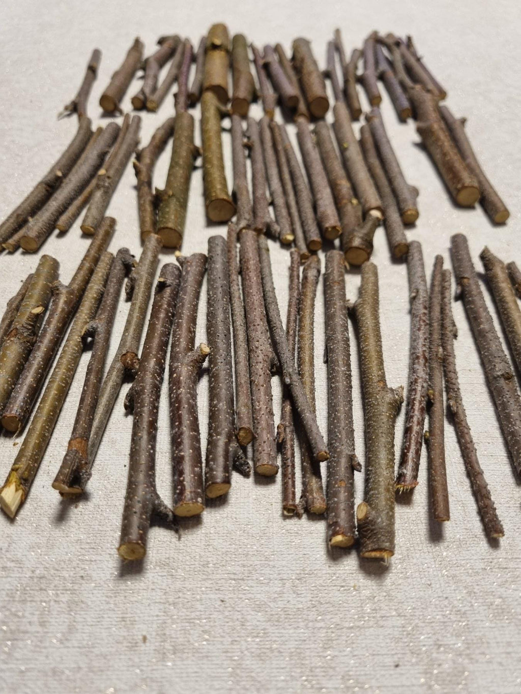 Small Birch Twigs – 60 Pack, 4 Inch Wood Sticks for Crafts