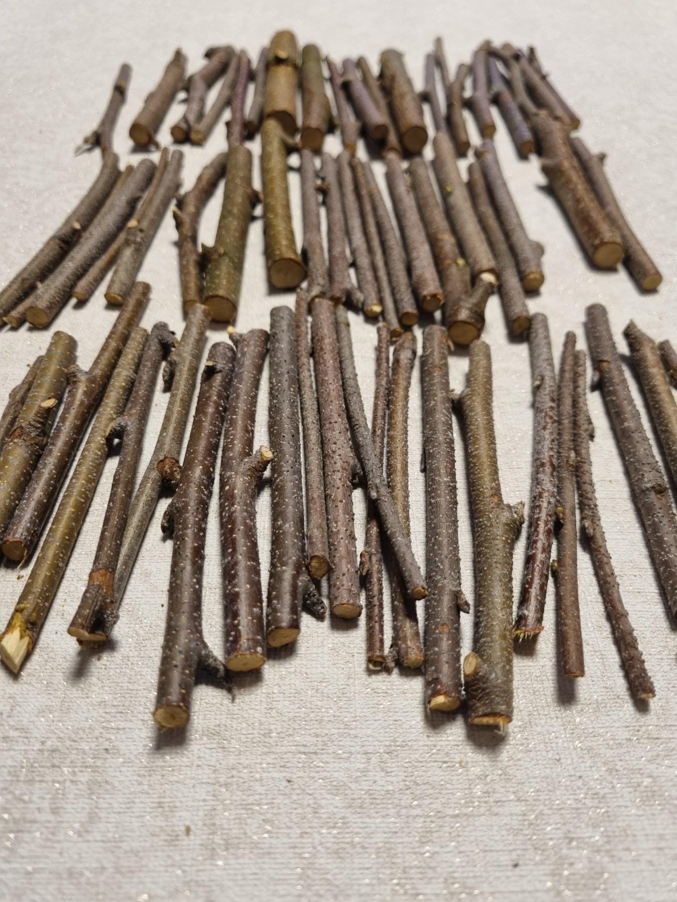 Small Birch Twigs – 60 Pack, 4 Inch Wood Sticks for Crafts