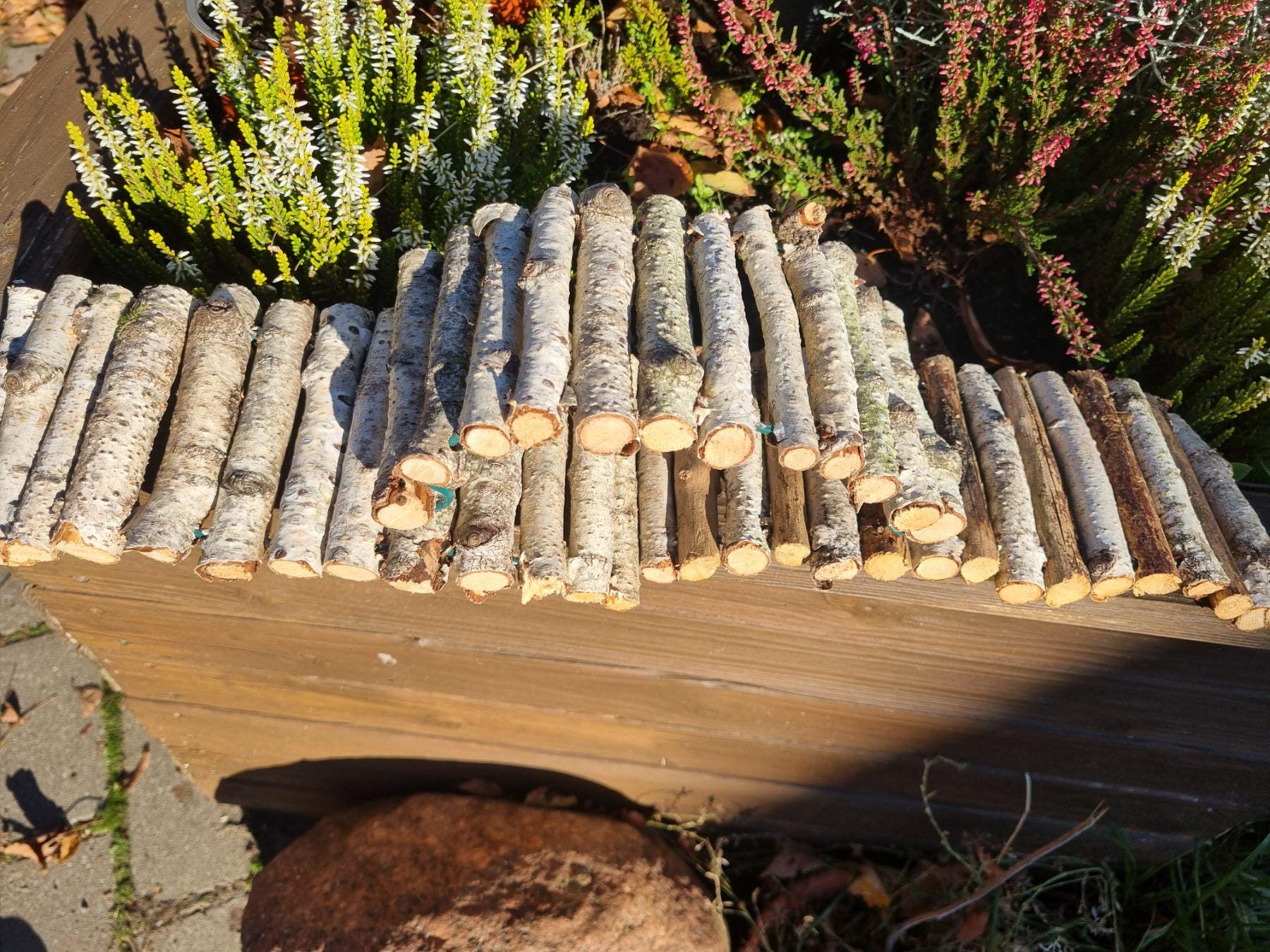 Natural Bendy Birch Wood Ladder/Tunnel – Safe Chew Toy for Hamsters, Mice, Birds