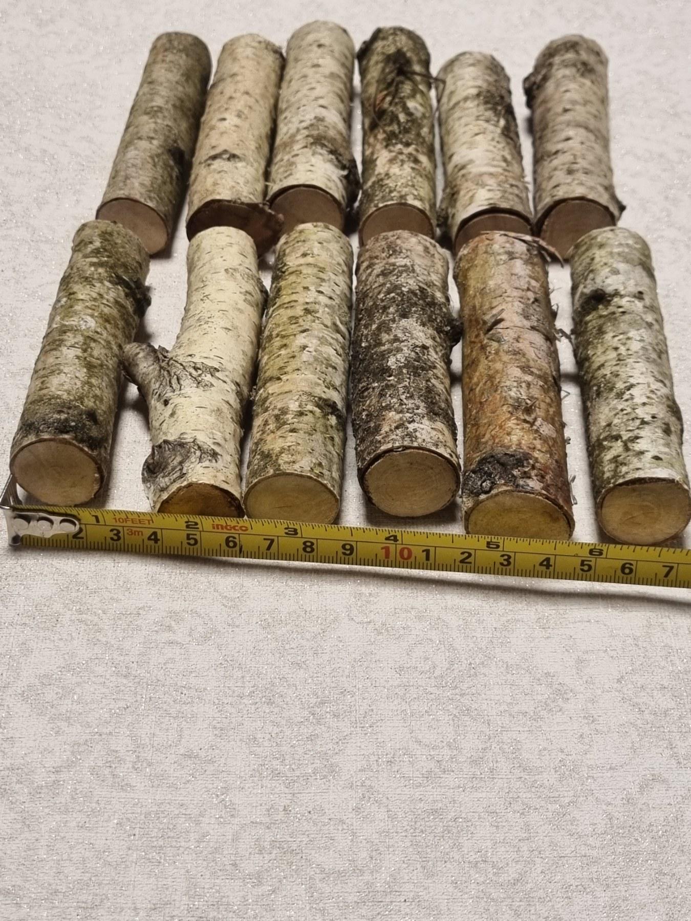 Birch Wood Sticks – Small Logs for Arts, Crafts, 12-Piece Set, Untreated Lithuanian Wood