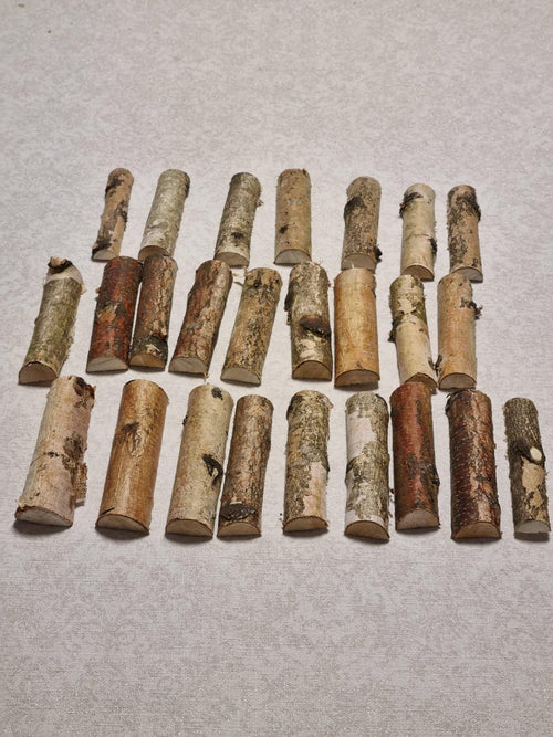 25 Birch Branch Halves, 4" Natural White Birch Wood Logs for Crafts, Rustic Wedding Decor, Birch Bark Sticks, DIY Woodworking Supplies