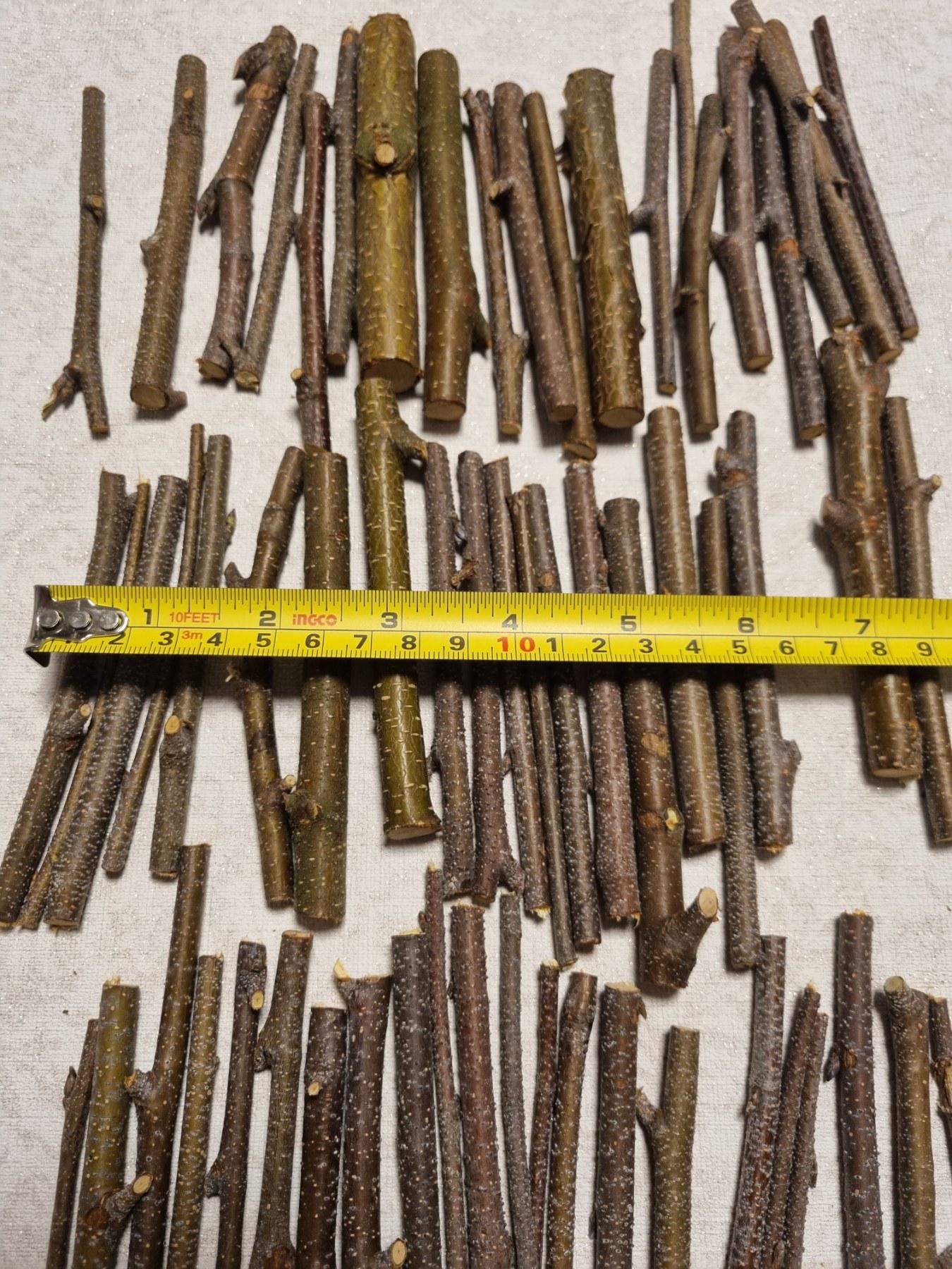 Small Birch Twigs – 60 Pack, 4 Inch Wood Sticks for Crafts