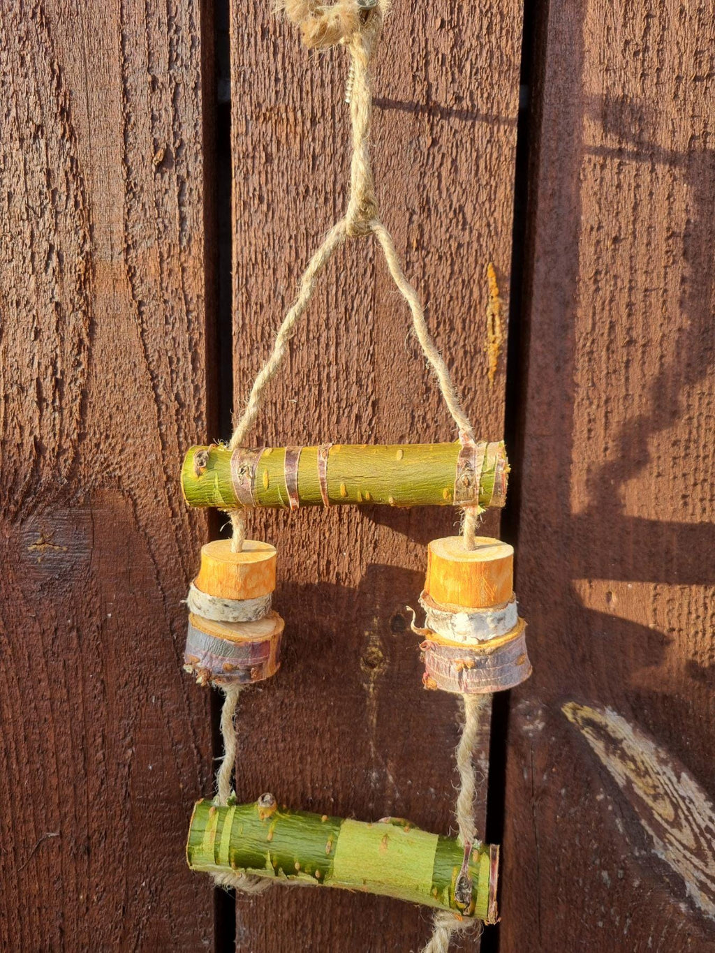 Hanging Bird Cage Enrichment Toy Bundle | Rodent Teeth Grinder (Birch/Plum/Cherry)