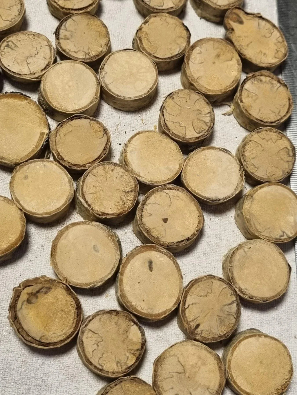 Set of 35 Dried Birch Wood Slices for Crafts - Smooth & Polished Natural Wooden Circles - Rustic Wedding Decor
