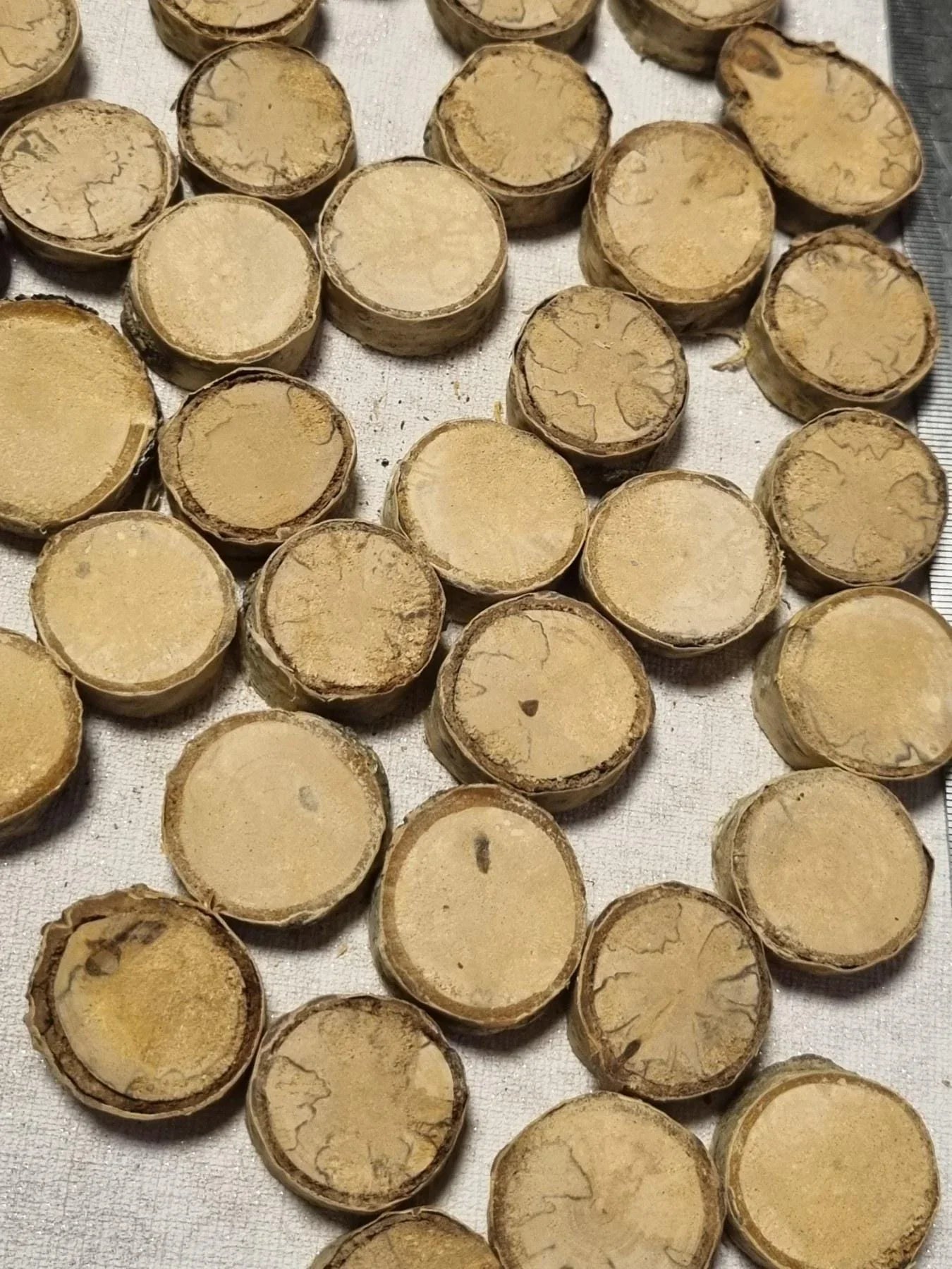 Set of 35 Dried Birch Wood Slices for Crafts - Smooth & Polished Natural Wooden Circles - Rustic Wedding Decor