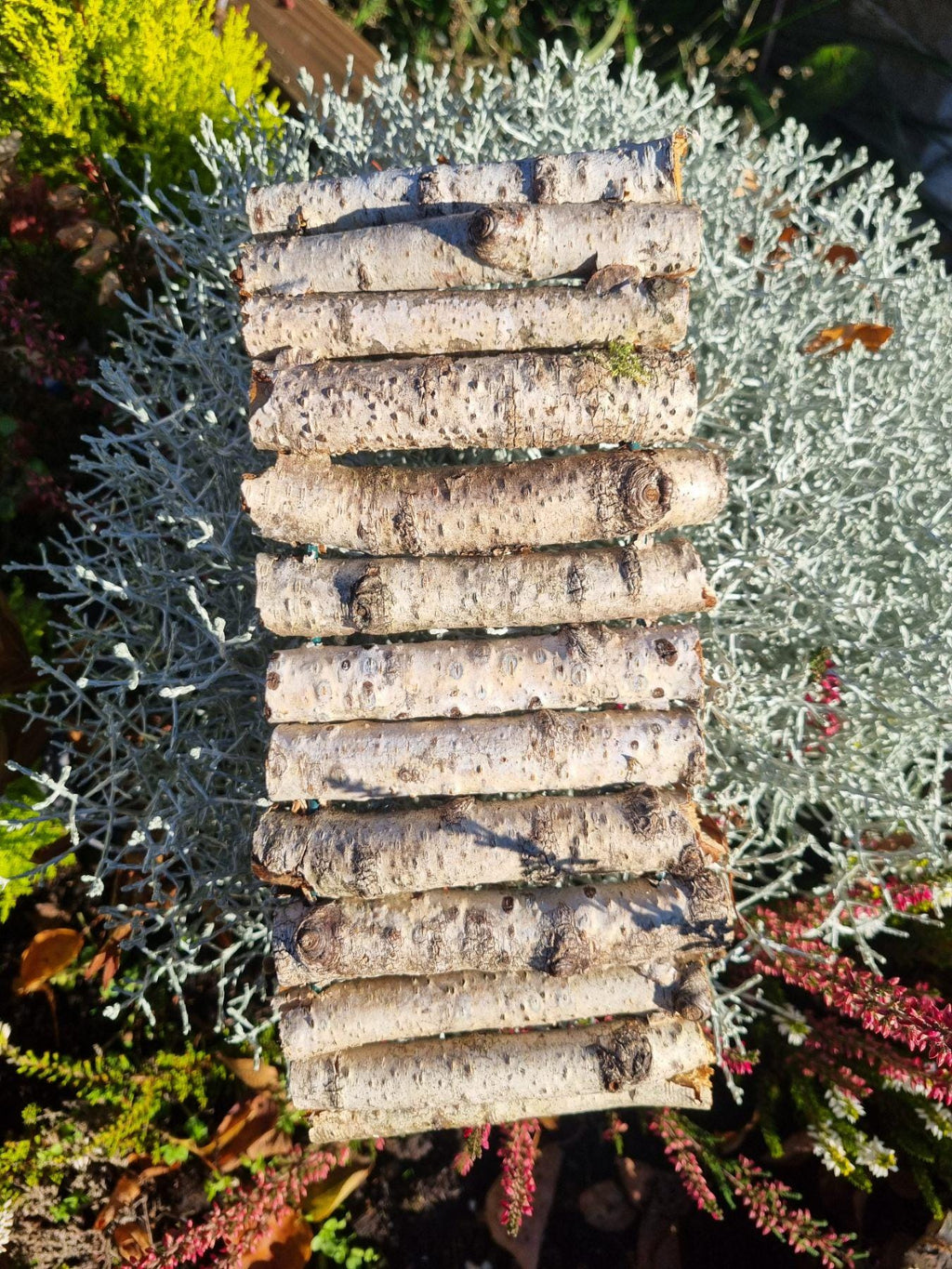 Natural Bendy Birch Wood Ladder/Tunnel – Safe Chew Toy for Hamsters, Mice, Birds