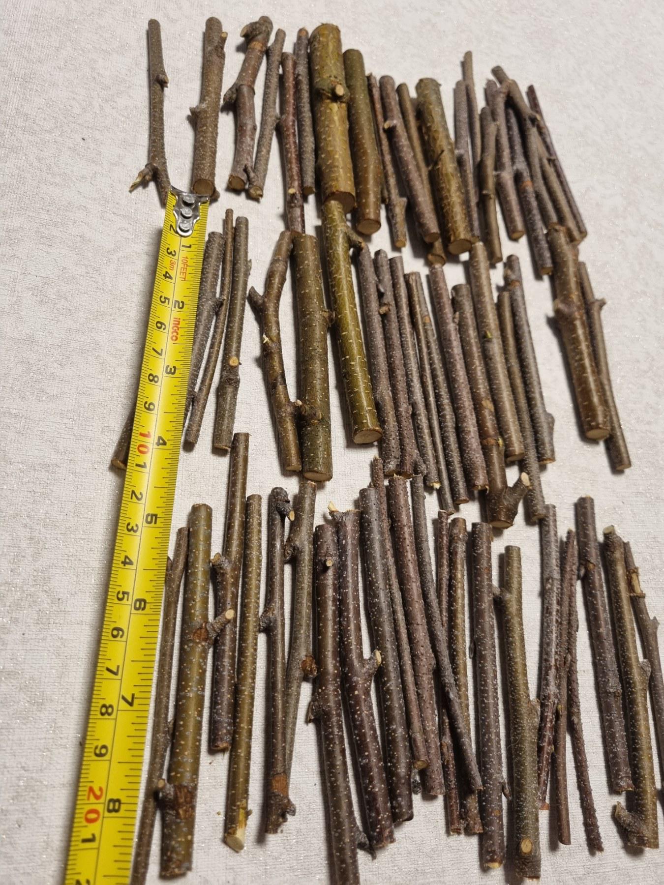 Small Birch Twigs – 60 Pack, 4 Inch Wood Sticks for Crafts