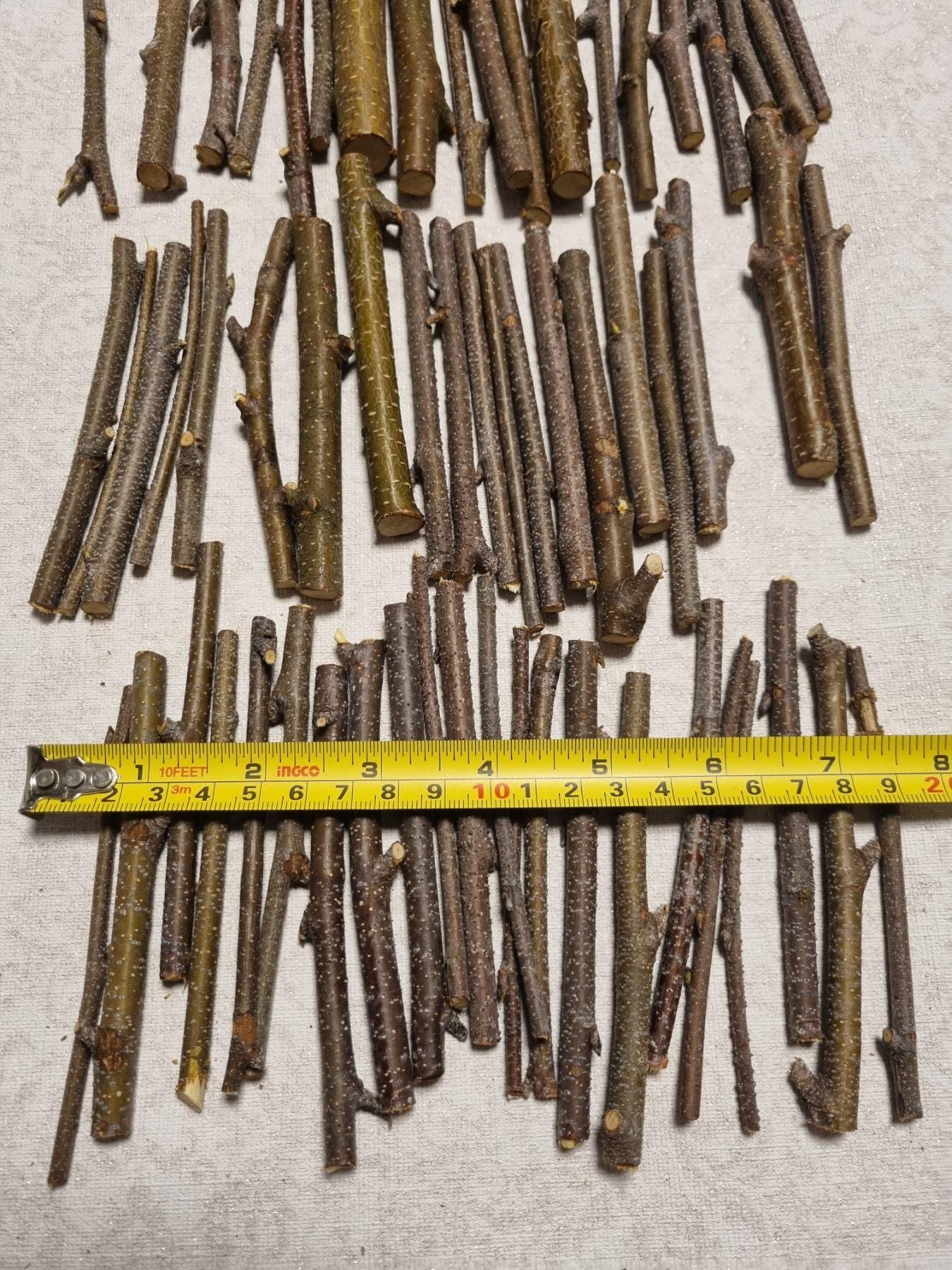 Small Birch Twigs – 60 Pack, 4 Inch Wood Sticks for Crafts