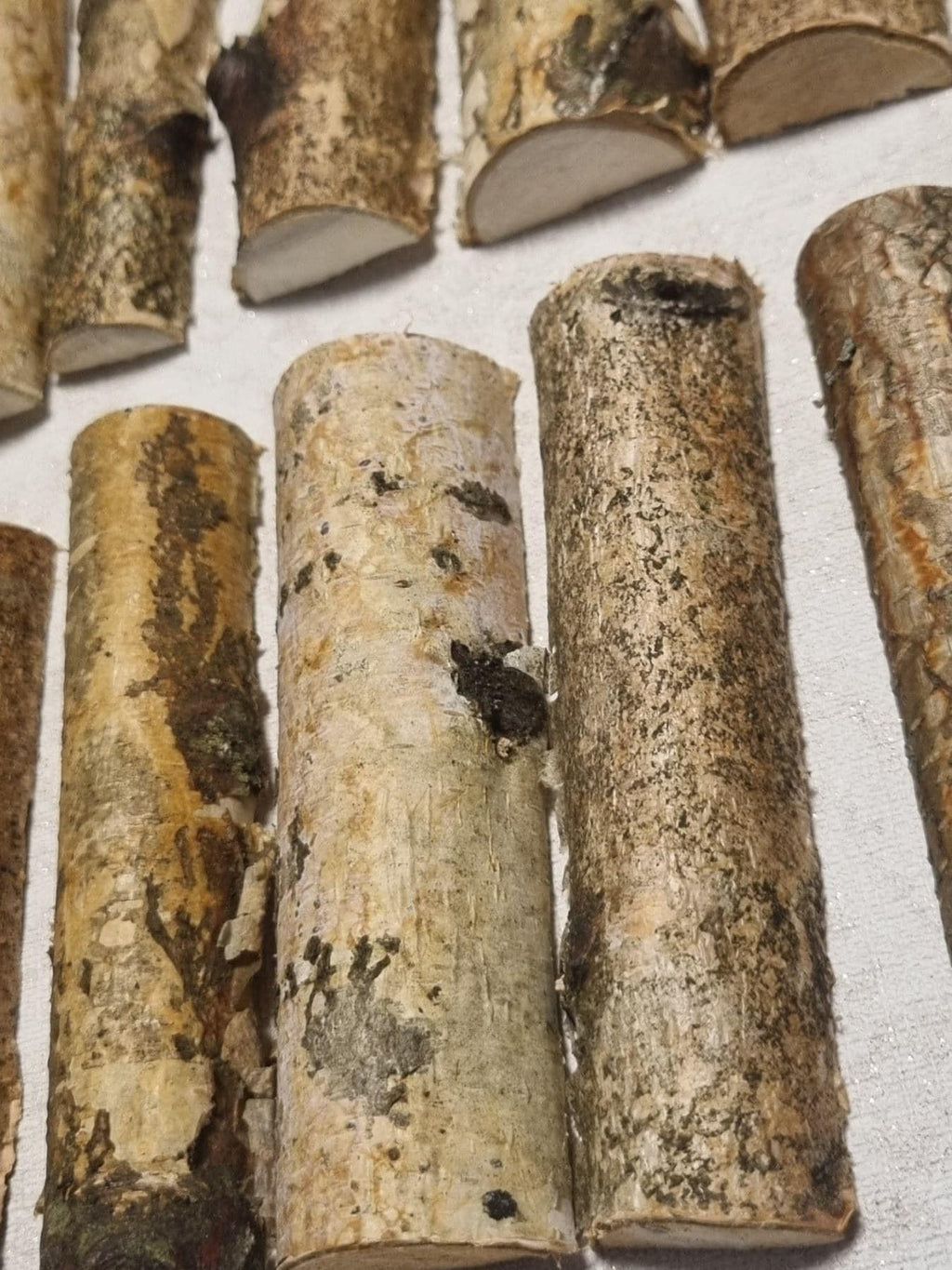 Natural Silver Birch Wood Logs Half Round Branches for Crafts, 4" Birch Sticks with Bark, Rustic Wedding Decor, DIY Wood Supplies