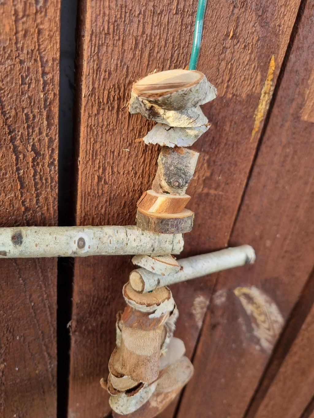 Bird Chew Toy for Canaries & Parakeets | Hanging Birch - Cherry Wood