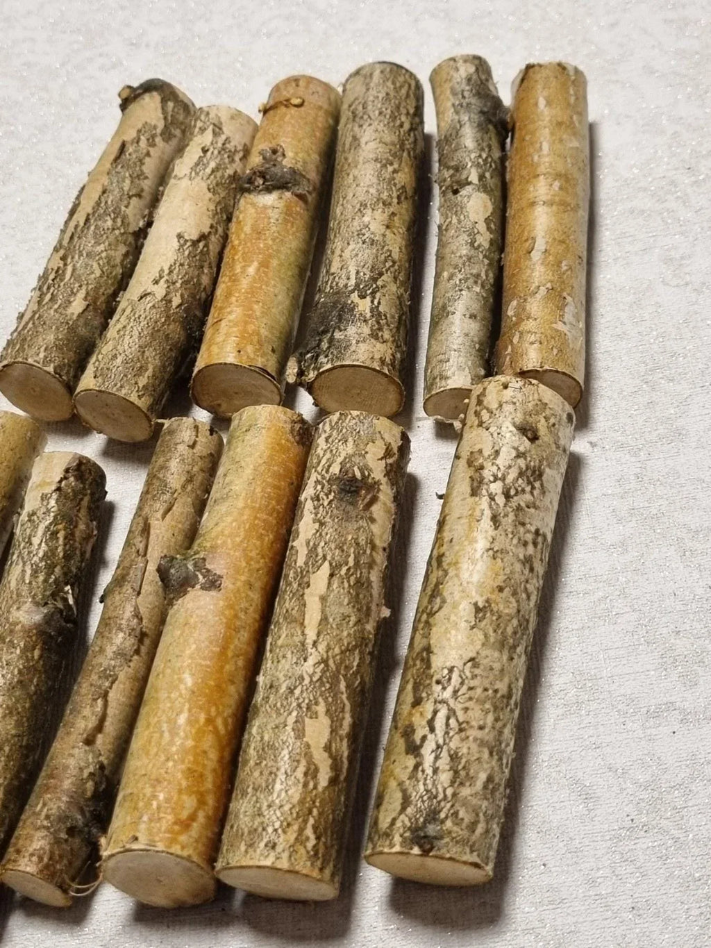 12 Pack Birch Wood Logs / Twigs for Reptile Tank, Aquarium Decor, Small Pet Chews