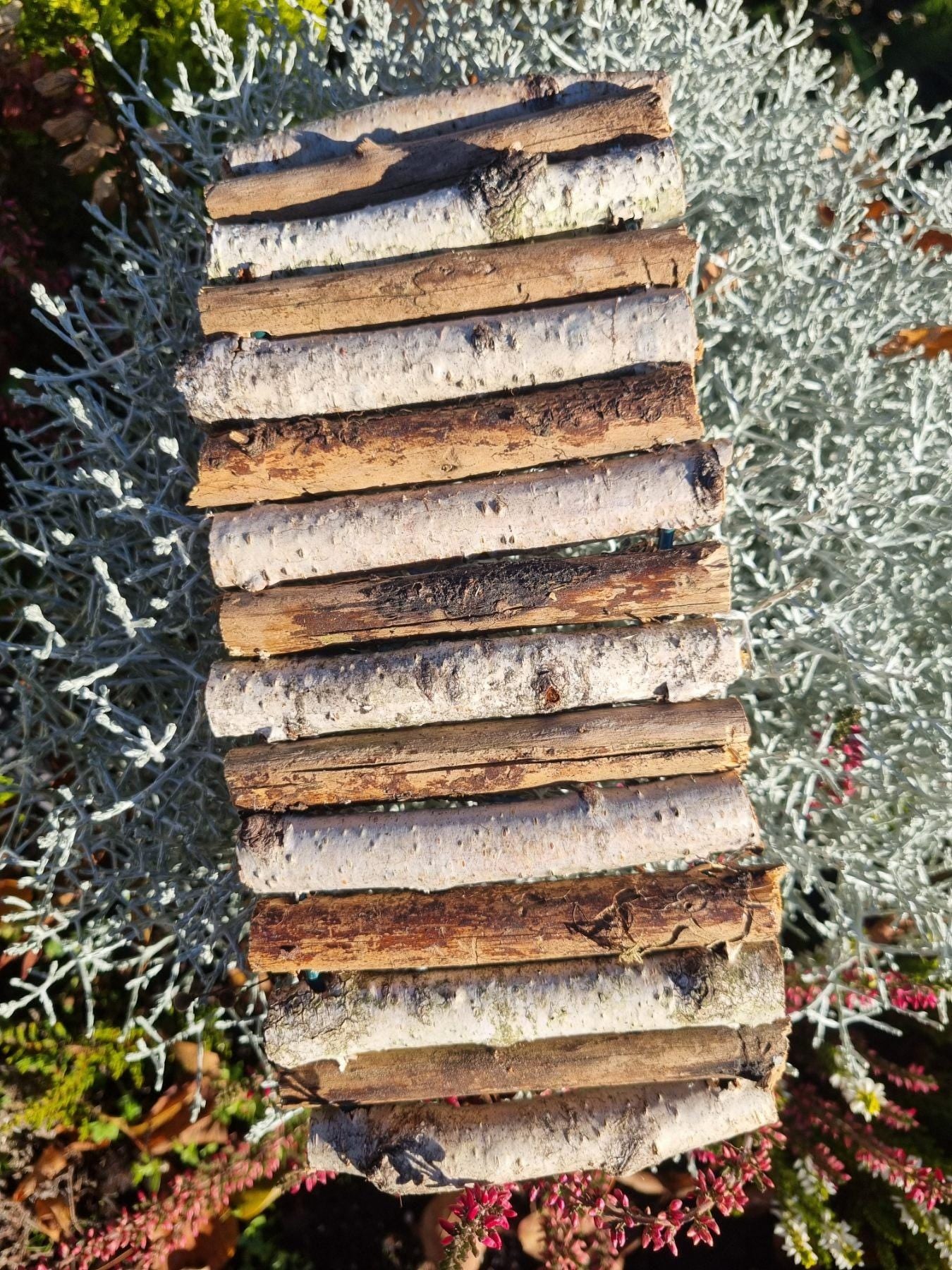 Natural Bendy Birch Wood Ladder/Tunnel – Safe Chew Toy for Hamsters, Mice, Birds