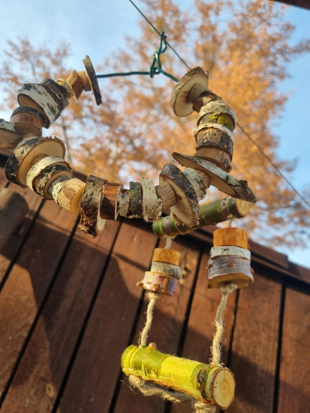 Hanging Bird Cage Enrichment Toy Bundle | Rodent Teeth Grinder (Birch/Plum/Cherry)