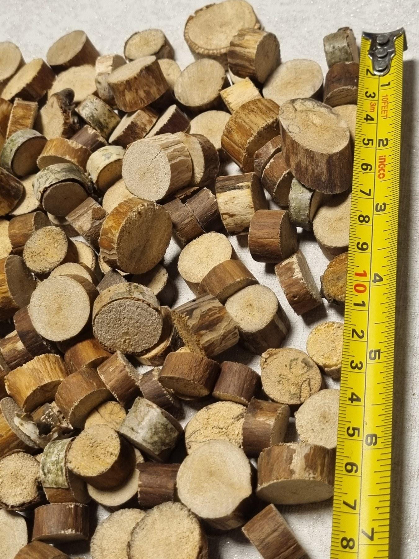 130 Small Birch Wood Slices – Barkless Craft Rounds