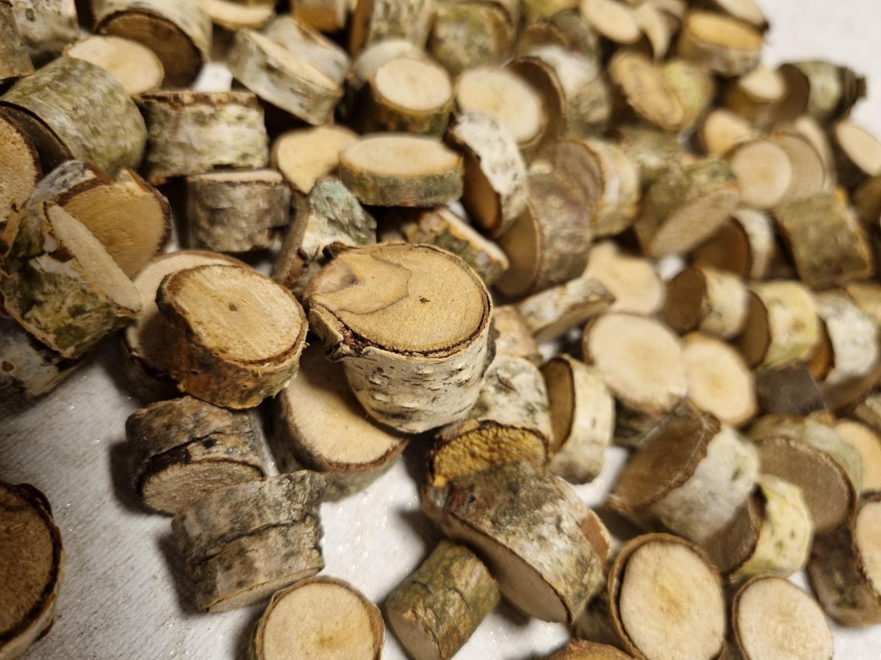 Tiny Birch Wood Slices Bulk Set | Mini Log Discs for Fairy Garden, Dollhouse Miniatures